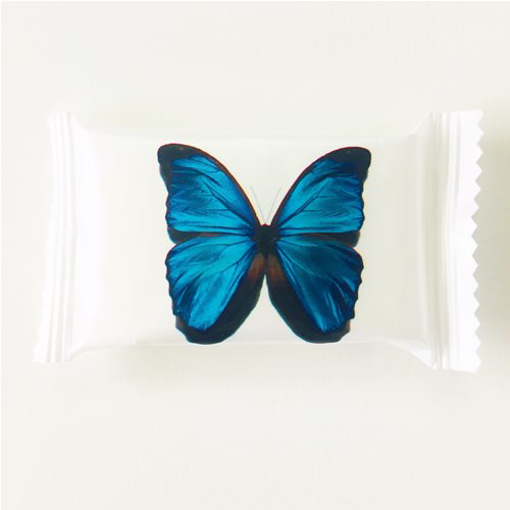 Picture of Raw Silk Wrapped Soap Sachet 15g (500/CTN)