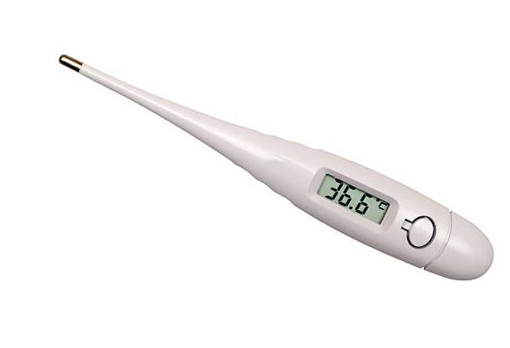 Picture of Electronic Thermometer